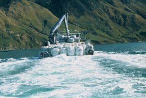 Muschelernte in den Marlborough Sounds