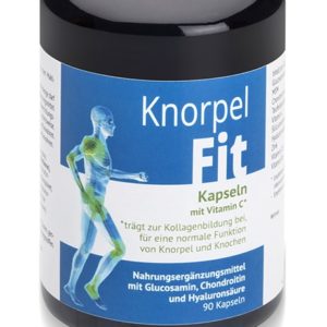 Knorpelfit